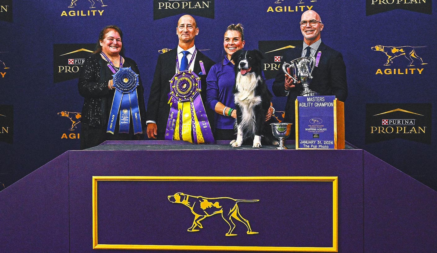 2026 WKC 征途国际：边境牧羊犬Prove-It夺冠掀起全场观众欢呼 | 征途国际